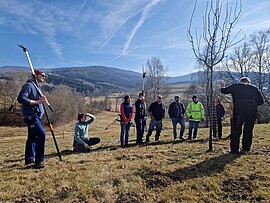 Banner Modul 6 - Ausbildung Streuobstwiesenberater: Sommerarbeiten