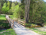 Logo Waldbaden im Park – Energie tanken bei einem Herbstwaldbad