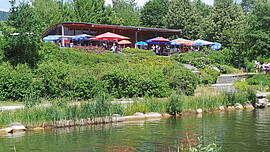 Banner Sommerfest im Feng Shui Kurpark