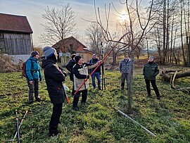 Banner Fachgerechter Obstbaumschnitt – Praxistag für Fortgeschrittene